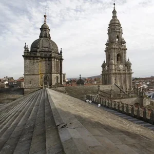 Actividad Social - Visita tejados catedral (BioNorth 2025)