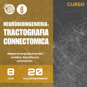 CURSO - Neurobioingeniería: Tractografía y Conectómica - BAC Barcelona 2026